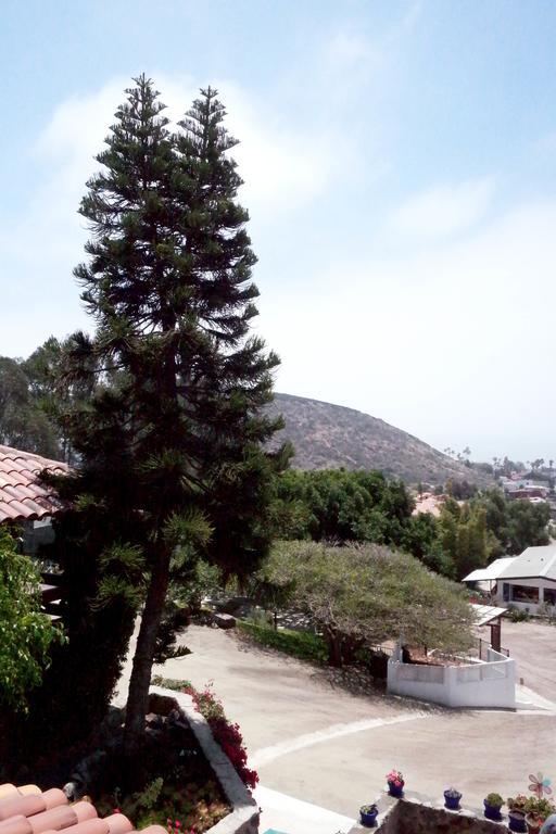 Quinta Los Arrayanes Hotel Ensenada Kamer foto
