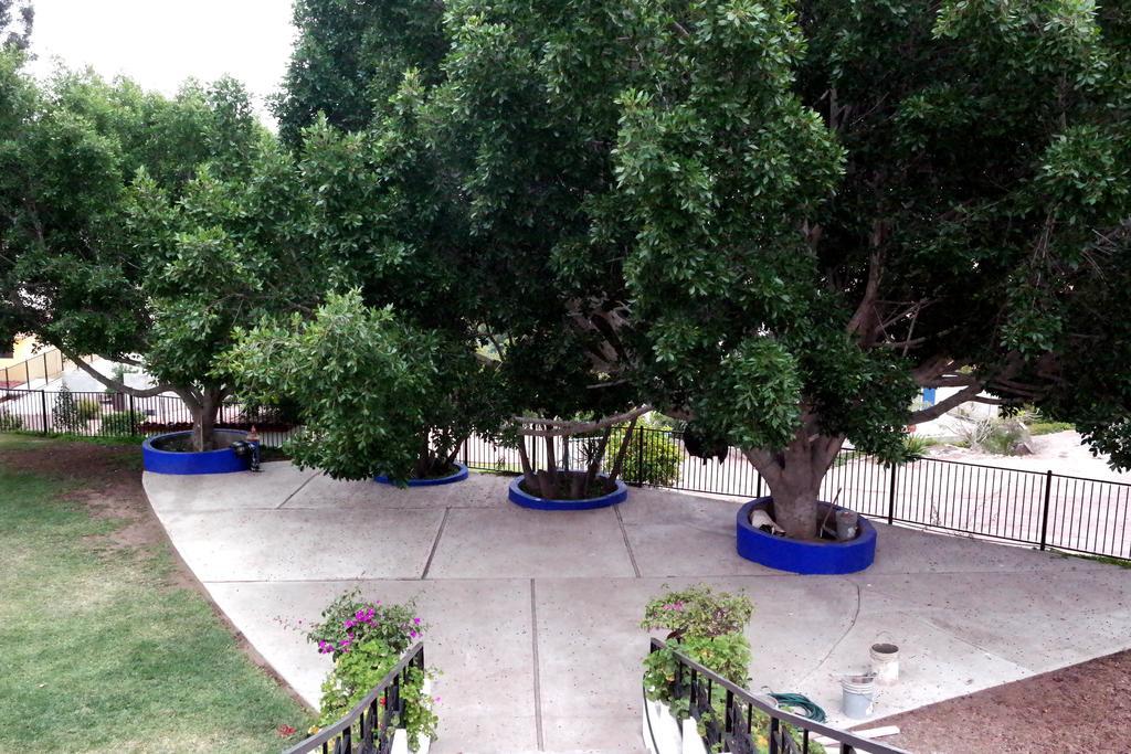 Quinta Los Arrayanes Hotel Ensenada Buitenkant foto